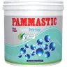 น้ำยารองพื้นปูนเก่า สูตรน้ำ คลีน ไพร์เมอร์ (1กล.) PAMMASTIC รูปที่ 1