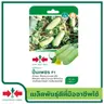 แฟงไส้ตันF1 ปิ่นเพรช เคลือบ (50S TH) GG ศรแดง รูปที่ 1
