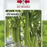 มะเขือยาวลูกผสม ปรายแสง (VP55 50S TH) SV ศรแดง รูปที่ 1