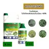 ไทล์บีม 4 ลิตร  รูปที่ 1