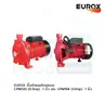 ปั๊มน้ำหอยโข่ง 1 นิ้ว 1.0 HP CPM158 EUROX รูปที่ 3