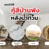 กันซึมหลังคา ROOFSEAL COOL 4 กก. #201 สีขาว BEGER รูปที่ 4