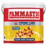 สีรองพื้นปูนใหม่ ไพร์มไลม์ #00000 (15ลิตร) PAMMASTIC รูปที่ 2