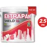 สีน้ำภายนอก ด้าน EXTRAPAM เบส A (2.5กล.) PAMMASTIC รูปที่ 2