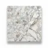กระเบื้อง 40 x 40 ซม. นกซาต้า DYNASTY รูปที่ 2