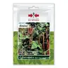 ถั่วฝักยาวพุ่มม่วง ช่อม่วง (VP21 40S TH) SV ศรแดง รูปที่ 2