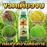 แพนต้าโกรว์ 500 ซีซี  รูปที่ 2