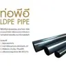 ท่อ PE คาดขาว 25 มิล (100 ม./ม้วน) 398-25-1(PN3.2) KANOK รูปที่ 3