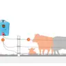 เครื่องควบคุมรั้วไฟฟ้า AC-DC 2ระบบ (ไฟล้อมวัว) ตราวัวลาย รูปที่ 2