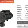 ปั๊มน้ำหอยโข่ง 2 x 2 นิ้ว 1500 W TK-DTM20 TAKARA รูปที่ 2
