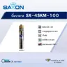 ปั๊มบาดาล 1 นิ้ว 1 HP SX-4SKM100  รูปที่ 2