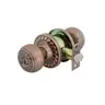 ลูกบิดประตู (แผง) รุ่น 9570 AC SOLEX รูปที่ 1