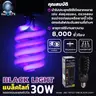 หลอดแบล็คไลท์ TN E27 30W รุ่น ITN010024 IWACHI รูปที่ 2