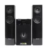 ชุดลำโพง 21CH 130 W (RMS) SB-66B3B SHERMAN รูปที่ 1