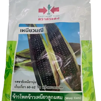 ข้าวโพดข้าวเหนียวลูกผสมเหนียวมณี (เมล็ดเคลือบ) (VP42 20S TH) SV ศรแดง