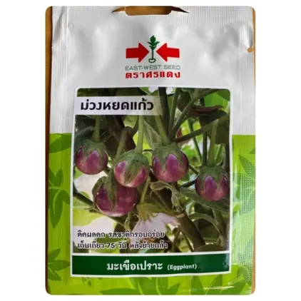 มะเขือเปราะม่วง ม่วงหยดแก้ว (VP56 100S TH) SV ศรแดง