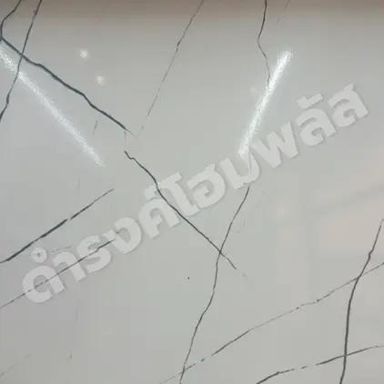 กระเบื้อง 60 x 60 ซม. สายวิหค (C) Premium Home