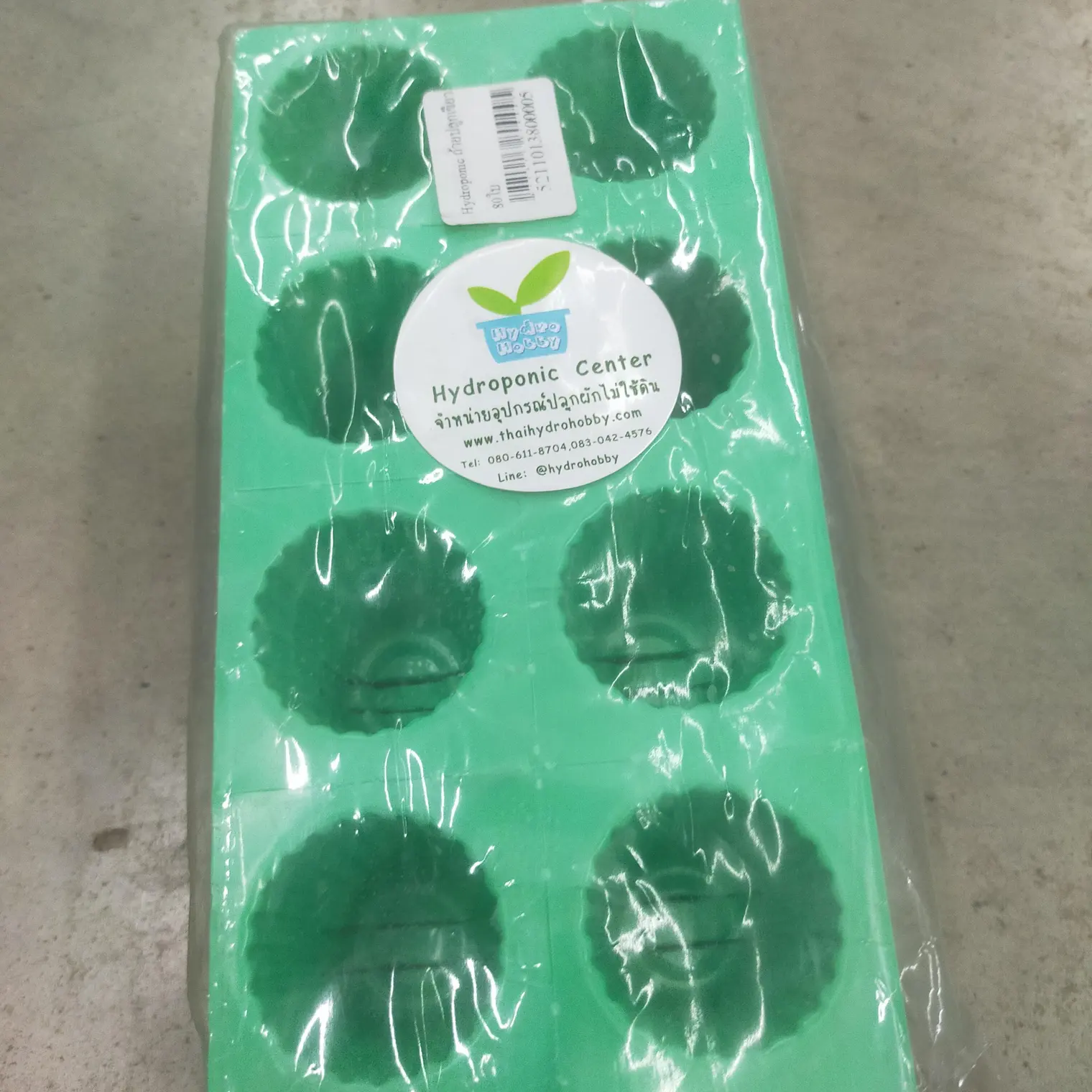ถ้วยปลูกเขียว 80 ใบ Hydroponic