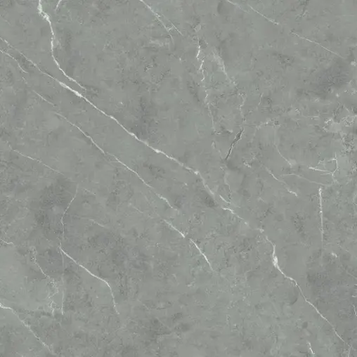 กระเบื้อง 60 x 60 ซม. (สั่งพิเศษ) หงส์เดวา รุ่น DLS00082